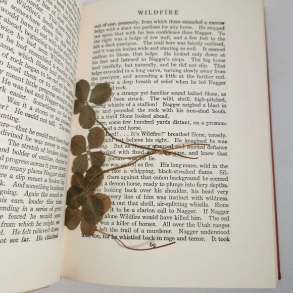 Forage With Me Books | Rare, Vintage & Collectible Finds - Picture 2 of 2